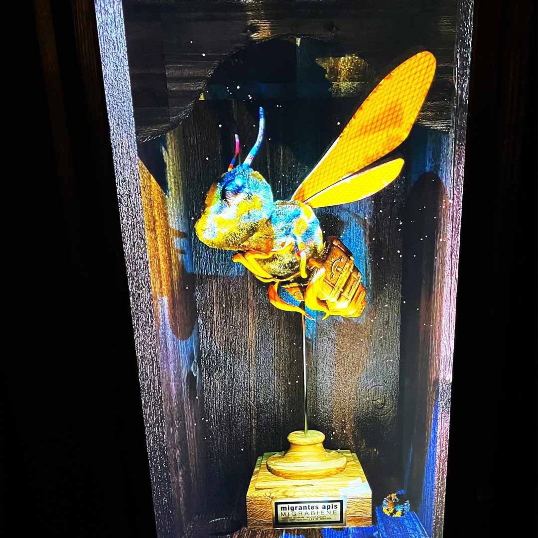SM_anja_nolte_migrabee_darkroom_1_BS